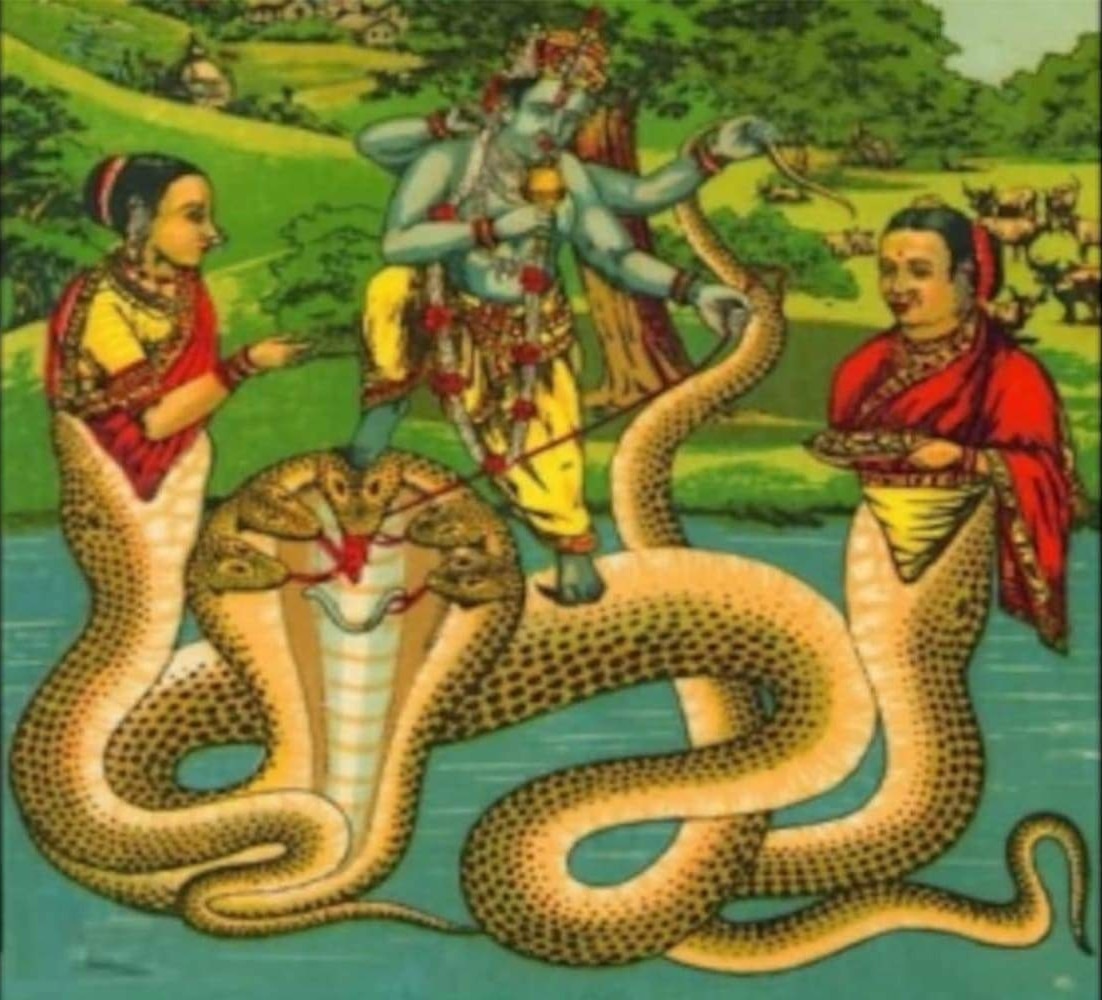 Nagula Chavithi 2021:నాగ పూజ మూఢనమ్మకమా- సర్పాలు, నాగులు, పాములు వీటి మధ్య వ్యత్యాసం ఏంటి, వేటిని పూజించాలి