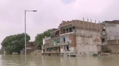 Violent avatar of Ganga wreaks havoc in Prayagraj | Ground visuals