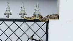 Prayagraj Flood: अब ग्राउंड फ्लोर पर इंसान नहीं...अजगर रहते हैं ! | ABP Ganga Hindi