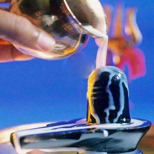 મહાદેવને ક્યાં દ્નવ્યથી અભિષેક કરવાથી કઇ સમસ્યા દૂર થાય છે,જાણો