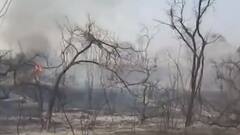 Top viral videos of the day | Viral Express | August 11, 2021