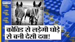 मार्केट में जल्द आ सकती है कोविड की देसी दवा, इससे बनाने में ली गई घोड़े की भी मदद