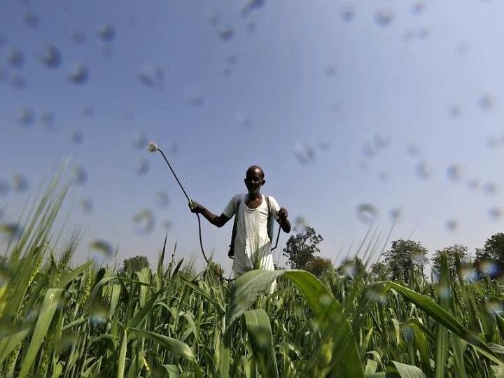Parl Panel Asks Govt Why Did 7 States, including Gujarat, Bihar, Back Out Of PM Crop Insurance Scheme PMFBY: क्यों बिहार-गुजरात समेत 7 बड़े राज्यों ने प्रधानमंत्री फसल बीमा योजना से किया किनारा? संसदीय पैनल ने सरकार से पूछा