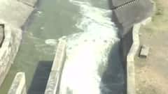 રાજ્યમાં વરસાદ ખેંચાતા ઊભા પાકને બચાવવા રાજ્ય સરકારે શું કરી જાહેરાત?,જુઓ વીડિયો