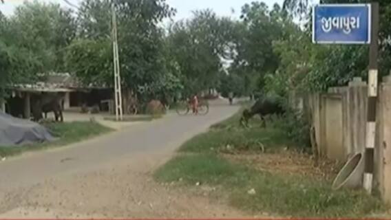 મારુ ગામ મારી વાતઃઆણંદના જીવાપુરા ગામના લોકોની શું છે સમસ્યા?