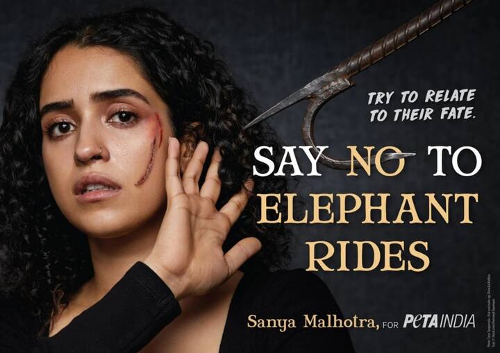 Sanya Malhotra Joins Forces With PETA India Against Elephant 'Joyrides' Sanya Malhotra Joins Forces With PETA India Against Elephant 'Joyrides'