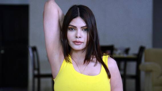 Sherlyn Chopra once again puts up allegations against Raj Kundra, know details