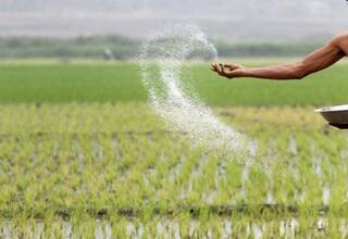 தரமற்ற உரங்களை விற்பனை செய்தால் நடவடிக்கை பாயும்- திருச்சி ஆட்சியர் எச்சரிக்கை