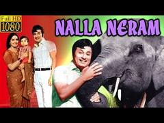 World Elephant Day: जानिए उन तमिल फ़िल्में के बारे में, जिसमें हाथी और इंसान के बीच दर्शाया गया खास रिश्ता