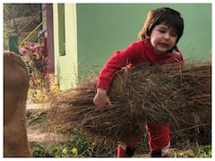 Vamika or Jahangir की तस्वीरों के लिए फैंस कर रहे हैं इंतज़ार, मगर अभी Taimur Ali Khan की Cuteness से ही चलाना पड़ेगा काम