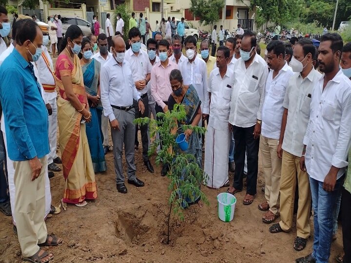 கொரோனாவால் உயிரிழந்தவர்களின் பெயரில் மரக்கன்று- கடலூர் மாவட்ட நிர்வாகத்தின் புதிய முயற்சி...!