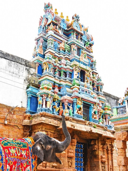 சுந்தரியாக போற்றப்படும் 16 வயதுடைய சுந்தரவள்ளி அழகர்கோவில் யானை.