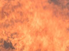 दिल्ली: नेहरू प्लेस में पहली मंजिल पर स्थित एक शो रूम में लगी आग, फायर ब्रिगेड की 6 गाड़ियां मौके पर