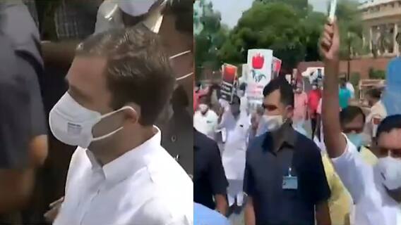 Rajya Sabha में बवाल पर Rahul Gandhi के आरोपों का Sambit Patra ने दिया जवाब