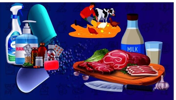 It is easy to monitor antibiotics in dairy products, meat and foodstuffs, research at Mumbai IIT डेअरी पदार्थ, मांस आणि खाद्यपदार्थांमध्ये प्रतिजैविकांची निरीक्षण करणं झालं सोपं, मुंबई IIT मध्ये संशोधन