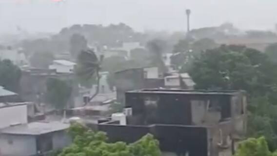 ન્યૂઝરૂમ લાઈવ: પાલિતાણામાં વરસાદ પડતાં વાતાવરણમાં ઠંડક પ્રસરી, ખેડૂતોમાં ખુશીનો માહોલ, જુઓ વિડીયો