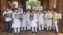 Opposition Leaders March: 'ਲੋਕਤੰਤਰ ਦੀ ਹੱਤਿਆ, ਸਾਨੂੰ ਬੋਲਣ ਨਹੀਂ ਦਿੱਤਾ ਗਿਆ', ਵਿਰੋਧੀ ਧਿਰ ਦਾ ਪੈਦਲ ਮਾਰਚ