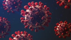 India Corona Update: দেশে বাড়ল সংক্রমণ, দৈনিক আক্রান্তের তুলনায় কমল সুস্থতার সংখ্যাও