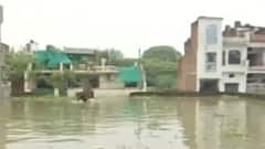 Prayagraj flood : यमुना और ससुर खदेरी नदी उफान पर | ABP GANGA HINDI