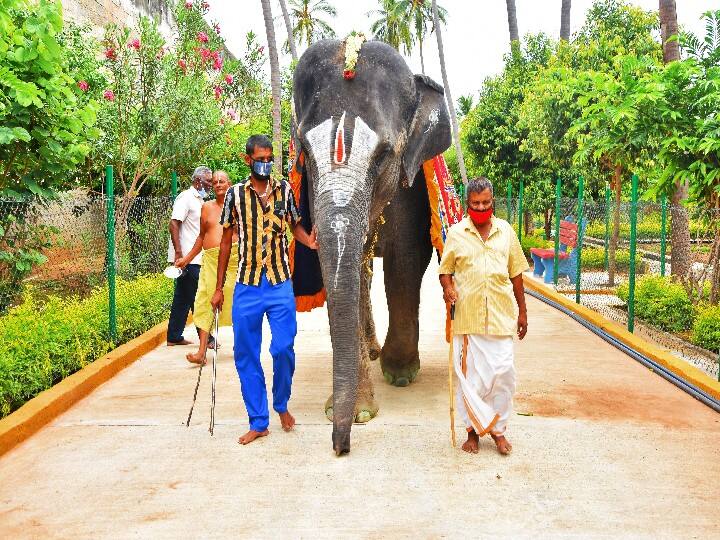 அங்குசம் பார்த்து சேட்டைகளை கட்டுப்படித்துக் கொள்ளும் சேட்டைக்கார சுந்தரவள்ளி.