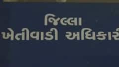 કચ્છ: વરસાદ ખેંચતા ખેડૂતો થયા ચિંતિત, સિઝનનો 31 ટકા વરસાદ જ નોંધાયો