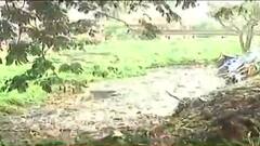 Bardhaman: ব্যবসায়ী-সহ দু'জনকে খুনের ঘটনায় আটক ৩, জিজ্ঞাসাবাদে চাঞ্চল্যকর তথ্য