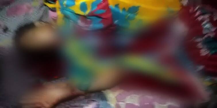 Dholahat Miscreants murders woman and her two and half year old non South 24 Paraganas Dholahat Murders News: ঢোলাহাটে মাকে কুপিয়ে আড়াই বছরের শিশুকে জলে ডুবিয়ে খুন