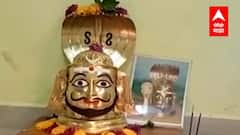 Nagpanchami :  सांगलीतील शिराळ्यात यंदाही नागपंचमी साधेपणाने साजरी ABP Majha