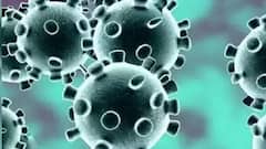 ਕੋਰੋਨਾ ਦੀ ਤੀਜੀ ਲਹਿਰ ਦਾ ਖਤਰਾ! ਪੰਜਾਬ 'ਚ ਮੁੜ ਸਖਤੀ, ਨਵੇਂ ਦਿਸ਼ਾ-ਨਿਰਦੇਸ਼ਾਂ ਦਾ ਐਲਾਨ