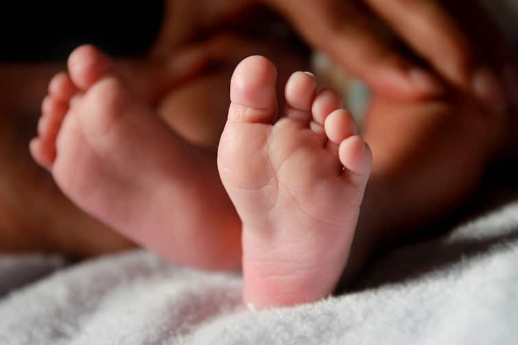 A newborn rescued from rajarhat কান্না শুনে ঘুম ভেঙেছিল স্থানীয় বাসিন্দার, রাজারহাটে ঝোপের মধ্যে থেকে উদ্ধার সদ্যোজাত কন্যা