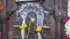 Naga Panchami 2021 celebrations: LIVE visuals from Ujjain capture bhakts offering prayers, milk