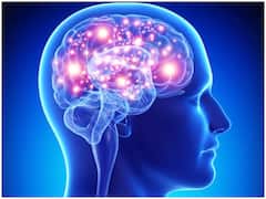 फील गुड हार्मोन डोपामाइन शरीर के लिए है क्यों महत्वपूर्ण, जानिए- इसे बढ़ाने के प्राकृतिक तरीके