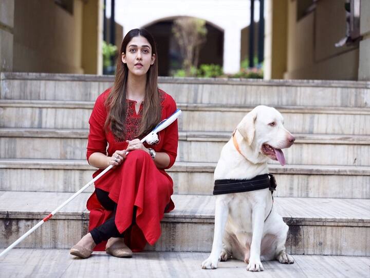 fan celebrating netrikann and  Nayanthara's Netrikann to stream on Disney+Hotstar now NETRIKANN| மாஸ்!! தலைவி வேற லெவல் ! செம! -  ட்விட்டரை அதகளப்படுத்தும் நெற்றிக்கண்!