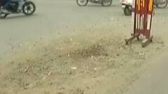 મારુ શહેર મારી વાતઃ વડોદરાના તાંદલજા વિસ્તારના લોકોની શું છે સમસ્યા?