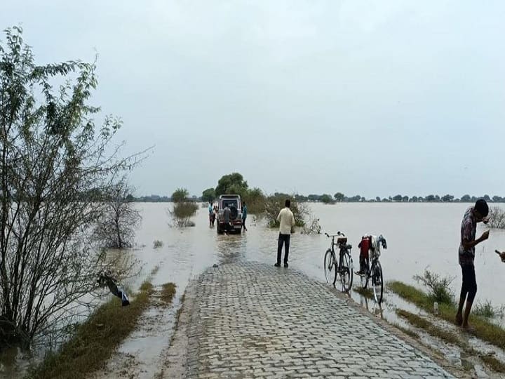 Fatehpur People were forced to live in forests due to rise in water level of Yamuna river said not getting help from administration ann फतेहपुर: यमुना नदी का जलस्तर बढ़ने से जंगलों में रहने को मजबूर हुए लोग, कहा- प्रशासन की तरफ से नहीं मिल रही मदद
