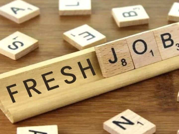 Top 4 IT companies of the country will give jobs to 1.6 lakh freshers in the financial year 2022 read this news Freshers Jobs: गुड न्यूज! देश की टॉप चार IT कंपनियां FY22 में 1.6 लाख फ्रेशर्स को देंगी नौकरी, जानें पूरी डिटेल