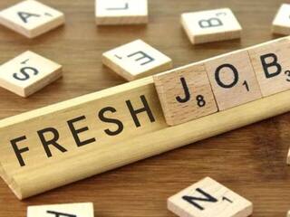 Freshers Jobs: गुड न्यूज! देश की टॉप चार IT कंपनियां FY22 में 1.6 लाख फ्रेशर्स को देंगी नौकरी, जानें पूरी डिटेल