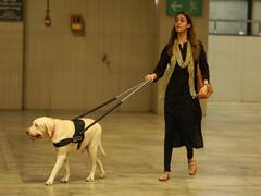 Actress Nayanthara pics | உடனே வலிகள் மறைந்து போகாதே....நெற்றிக்கண் ஸ்பெஷல் ஆல்பம்!