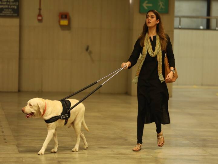 தென்னிந்திய லேடி சூப்பர் ஸ்டார் நயன்தாரா நடிப்பில், பரபர, திரில்லர் திரைப்படமாக உருவாகியுள்ள