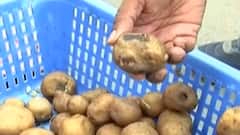 વડોદરાઃ abp એસ્મિતાના અહેવાલ બાદ આરોગ્ય વિભાગની ટીમ એક્શનમાં,ક્યાં ક્યાં તપાસ હાથ ધરી?