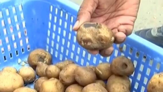 વડોદરાઃ abp એસ્મિતાના અહેવાલ બાદ આરોગ્ય વિભાગની ટીમ એક્શનમાં,ક્યાં ક્યાં તપાસ હાથ ધરી?