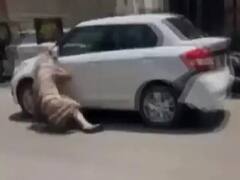 Punjab News : போலீஸ் மீது காரை ஏற்றிச்செல்லும் கார் : பதைபதைக்கும் வீடியோ