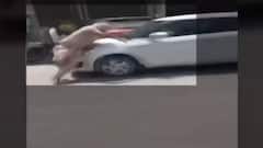 Punjab: Car driver tries to run car over ASI in Patiala; accused absconding