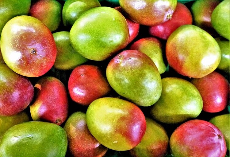 Mangoes