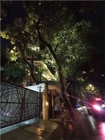 Rhea Kapoor Wedding: अनिल कपूर यांच्या दुसऱ्या मुलीचं लग्न, तयारी पूर्ण, घर सजलं - पाहा फोटो