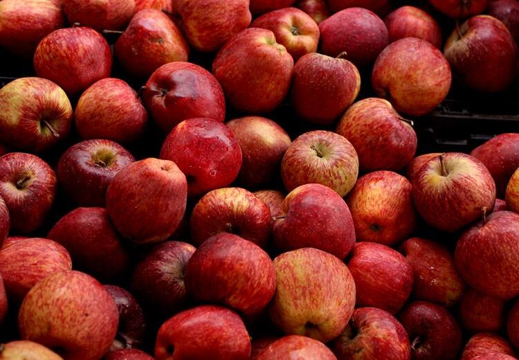 APEDA exports five varieties of apples from Himachal pradesh to Bahrain பஹ்ரைனுக்கு ஏற்றுமதியாகும் ஹிமாச்சலப் பிரதேசத்தின் தனித்துவம் வாய்ந்த ஆப்பிள்கள்!