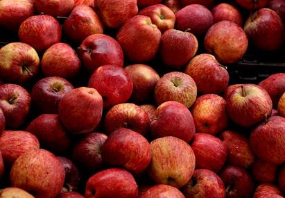 APEDA exports five varieties of apples from Himachal pradesh to Bahrain பஹ்ரைனுக்கு ஏற்றுமதியாகும் ஹிமாச்சலப் பிரதேசத்தின் தனித்துவம் வாய்ந்த ஆப்பிள்கள்!
