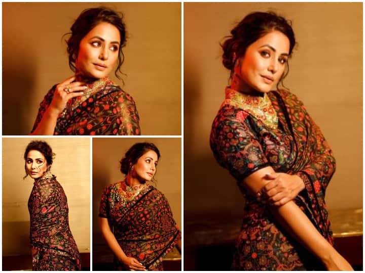 इस बात में कोई शक नहीं है कि हिना खान टेली लैंड की स्टाइल आइकॉन हैं. वो अपने स्टाइलिश आउटफिट और लुक से हमेशा ही फैन्स को दिल जीतती हुई नजर आती हैं. सोशल मीडिया पर उनकी बहुत बड़ी फैन फॉलोइंग है. हाल ही में उन्होंने अपने खूबसूरत लुक से इंटरनेट पर आग लगा दी है. हिना ने साड़ी में कुछ तस्वीरें पोस्ट की हैं जोकि विंटेज वाइब्स दे रही हैं.