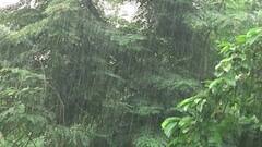 Weather Update: হঠাৎ কালো মেঘ করে বৃষ্টি, ভিজল দক্ষিণবঙ্গের বেশ কয়েকটি জেলা