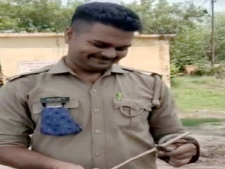 Firozabad Cobra Snake: पुलिस चौकी में निकले कोबरा सांप को सिपाही ने पकड़ा, एसएसपी ने की तारीफ